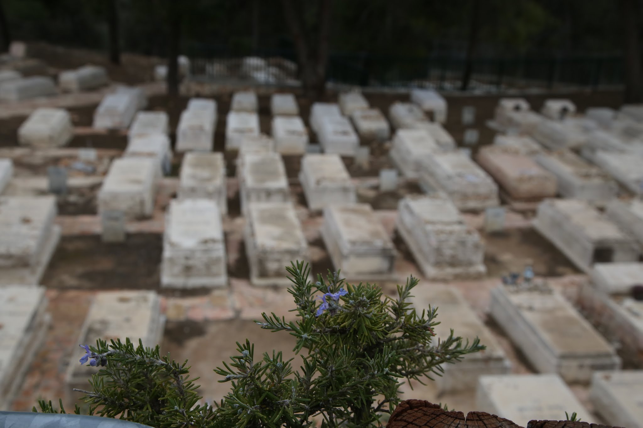 בית עלמין-1022